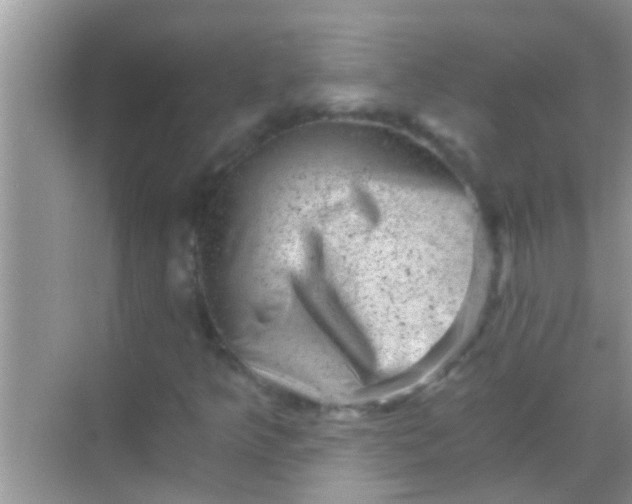 X0000068281349200605051831