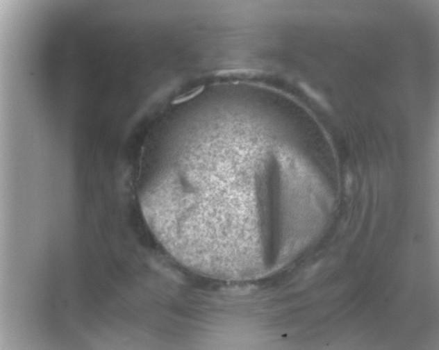 X0000068281351200605051831