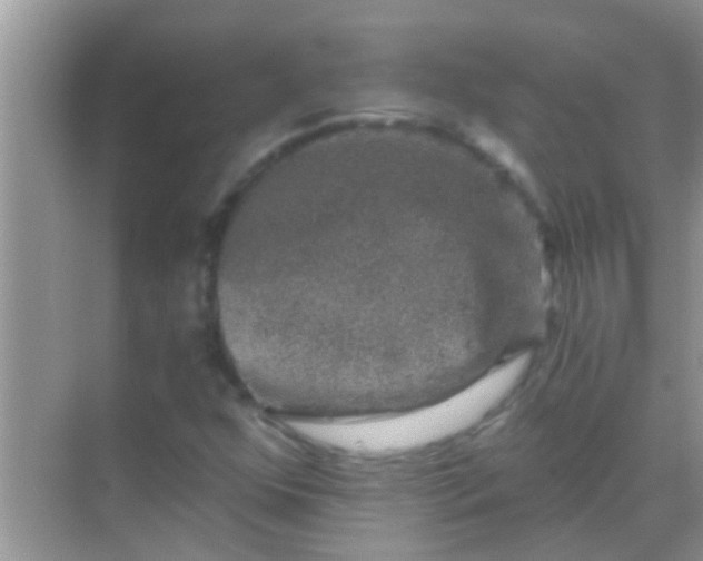 X0000068281352200605051831