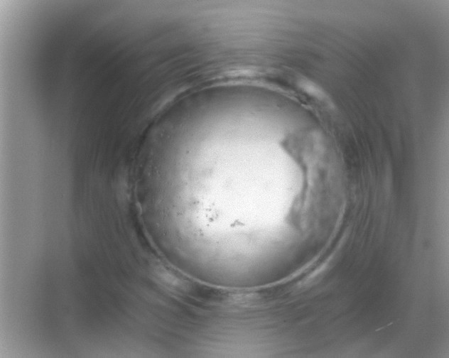 X0000068281353200605051831