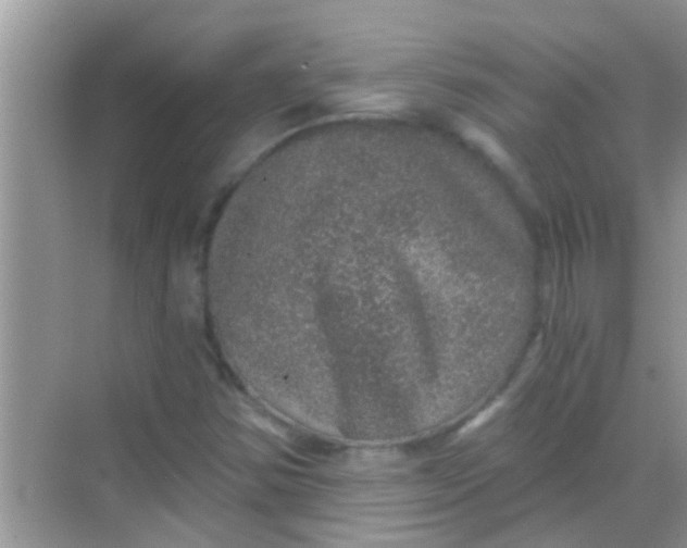 X0000068281354200605051831