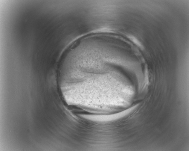 X0000068281356200605051831