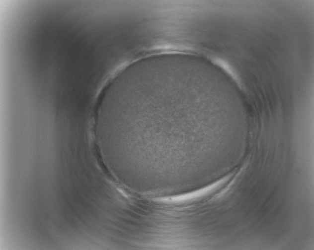 X0000068281357200605051831