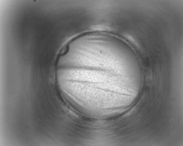 X0000068281358200605051831