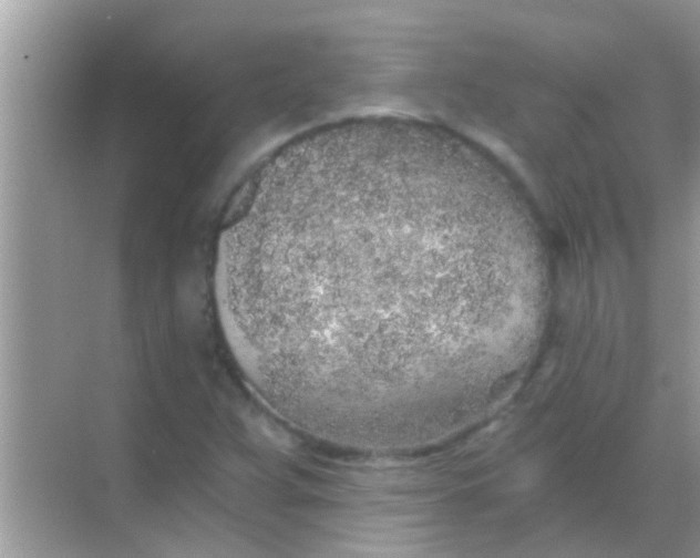 X0000068281359200605051831