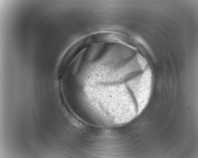 X0000068281360200605051831