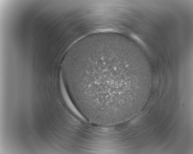 X0000068281361200605051831