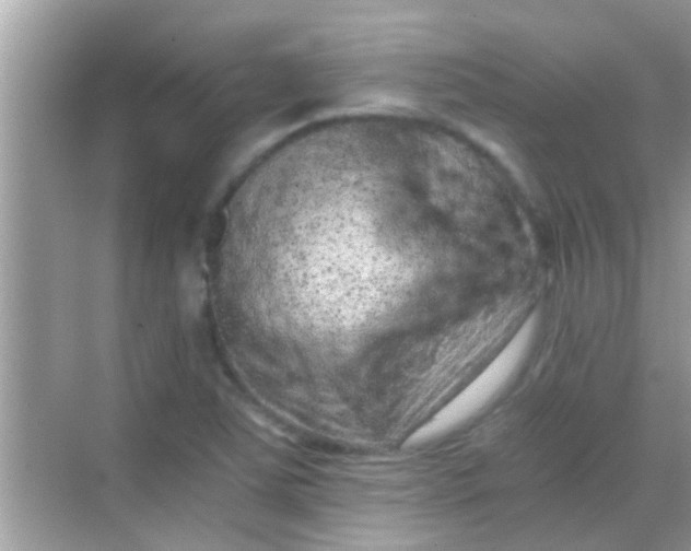 X0000068281363200605051831