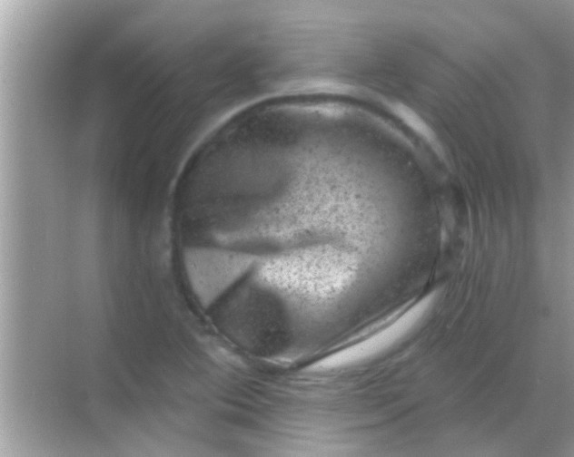 X0000068281364200605051830