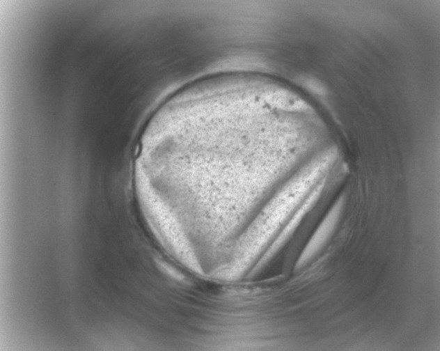 X0000068281366200605051830