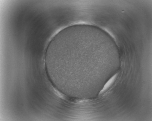 X0000068281367200605051830