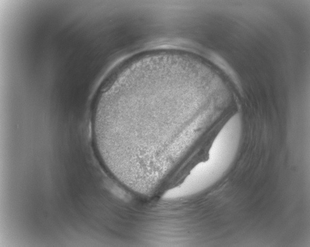 X0000068281368200605051830