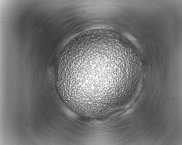 X0000068281369200605051830