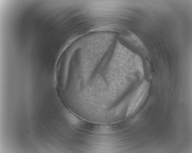 X0000068281370200605051830