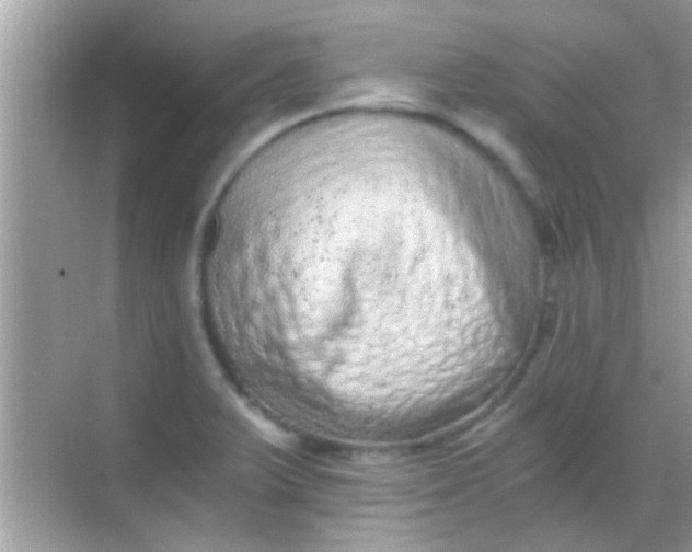 X0000068281375200605051830