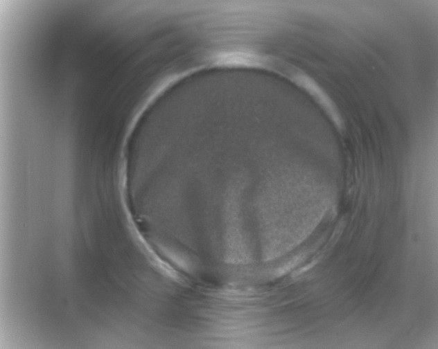 X0000068281376200605051830