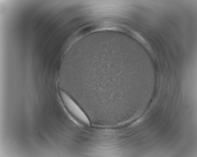 X0000068281377200605051830