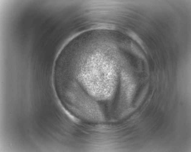 X0000068281379200605051830