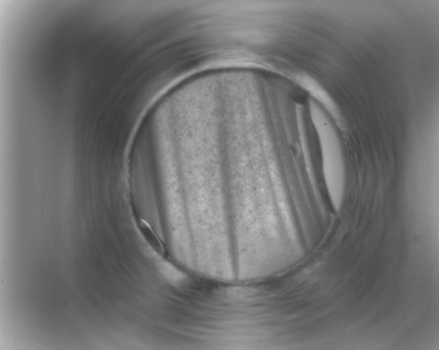 X0000068281380200605051830