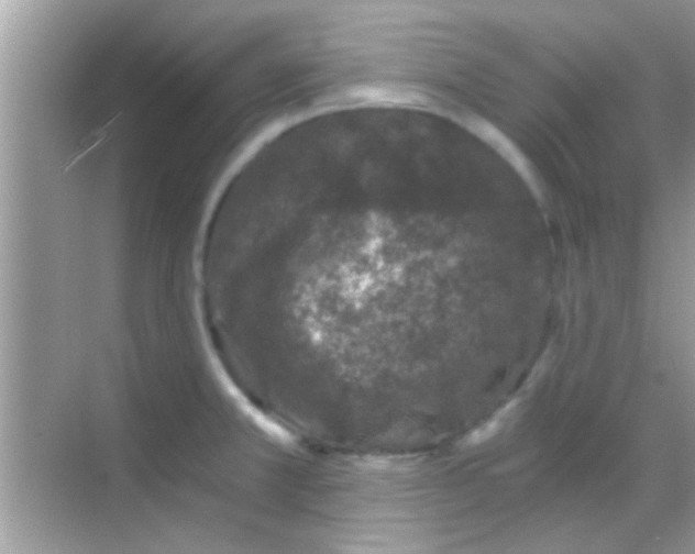 X0000068281381200605051830