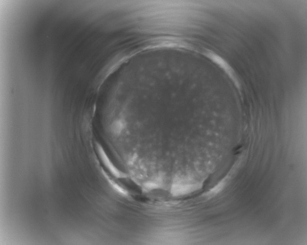 X0000068281385200605051830