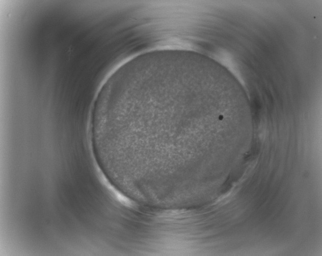 X0000068281387200605051830