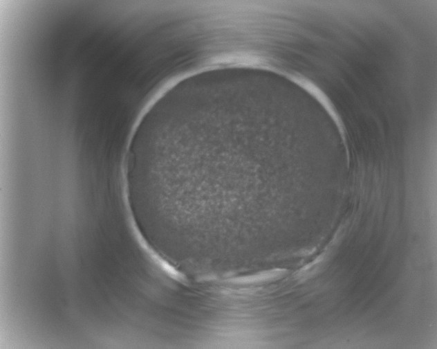 X0000068281389200605051830