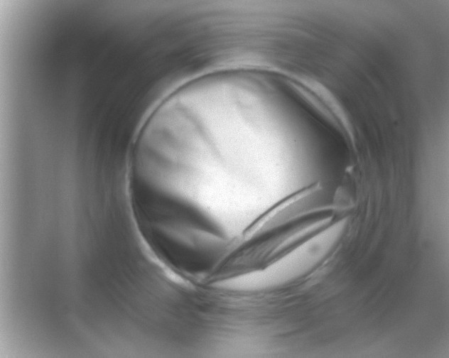 X0000068281390200605051830