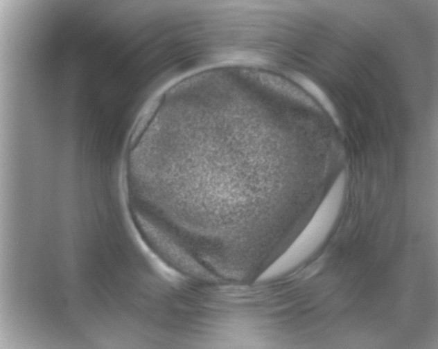 X0000068281391200605051830