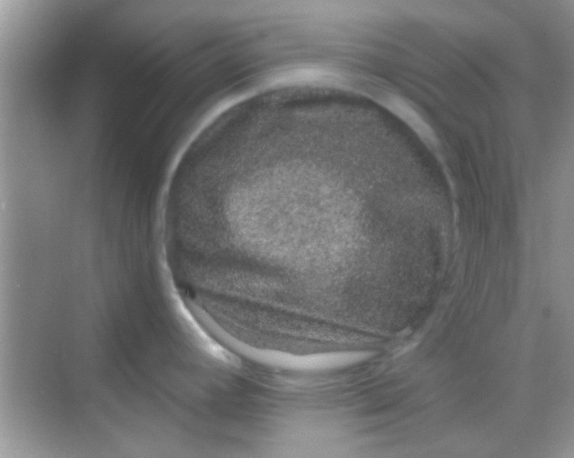 X0000068281392200605051830