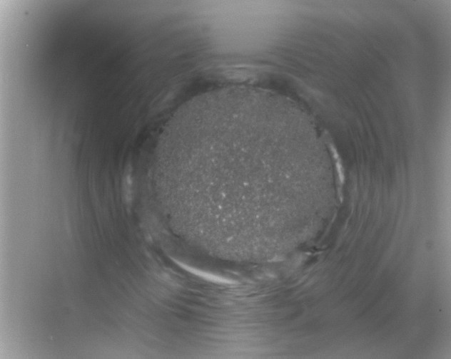 X0000068281394200605051829