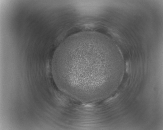 X0000068281395200605051829