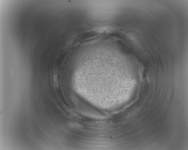 X0000068281396200605051829