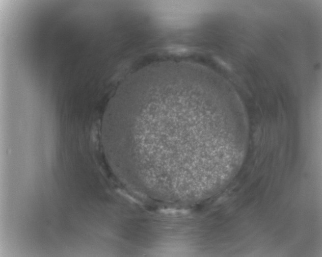 X0000068281397200605051829