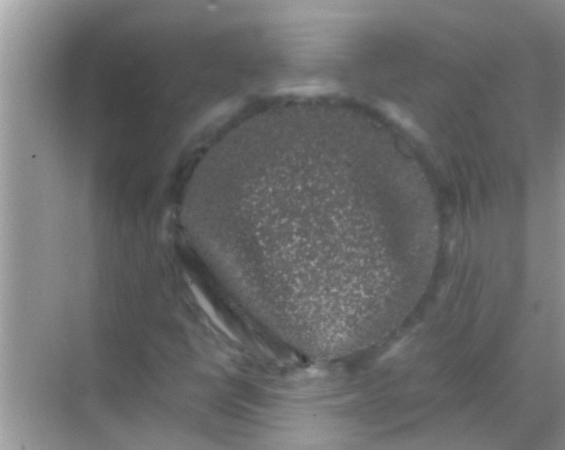 X0000068281398200605051829