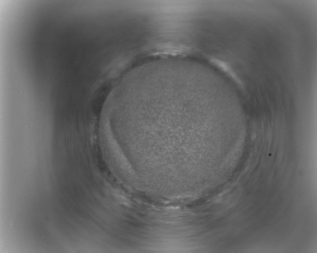 X0000068281399200605051829