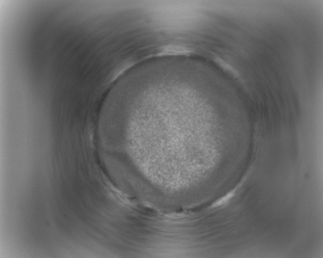 X0000068281401200605051829