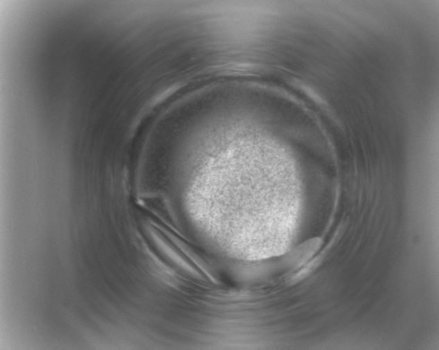 X0000068281402200605051829