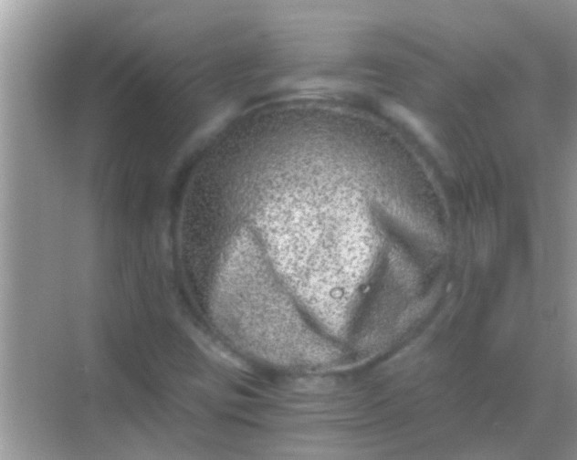 X0000068281403200605051829