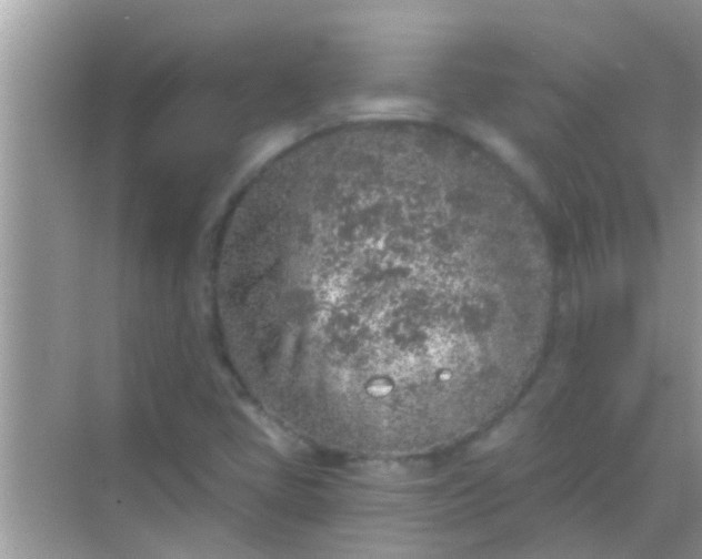 X0000068281405200605051829