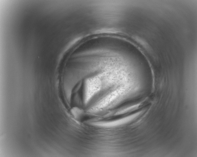 X0000068281406200605051829