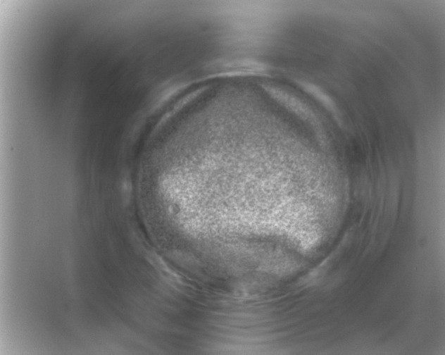 X0000068281407200605051829