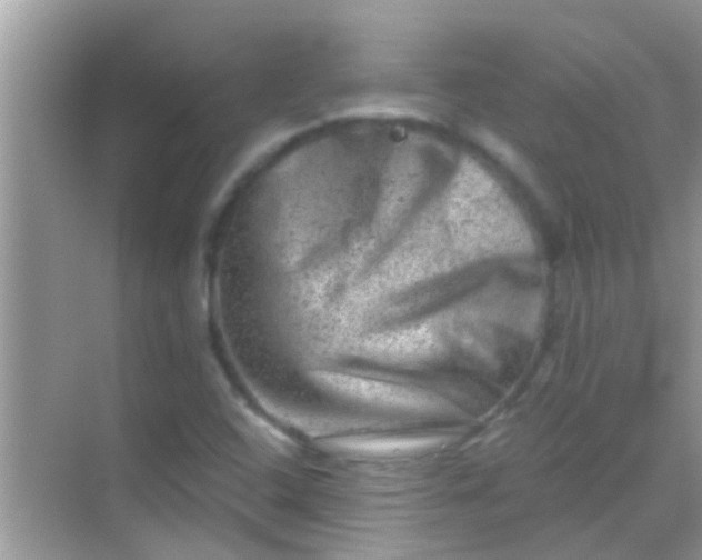 X0000068281408200605051829