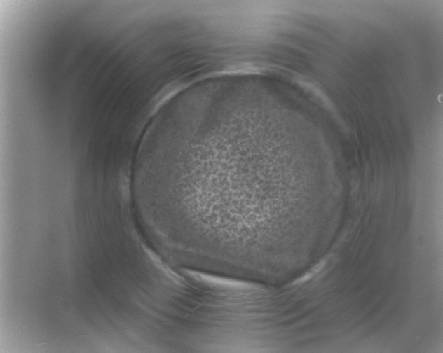 X0000068281409200605051829