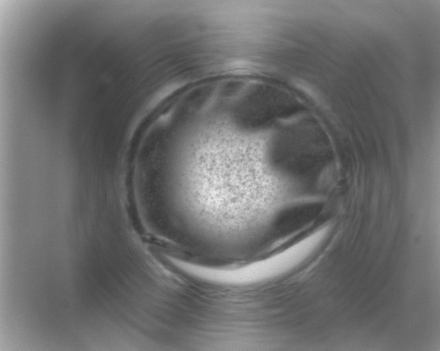 X0000068281410200605051830