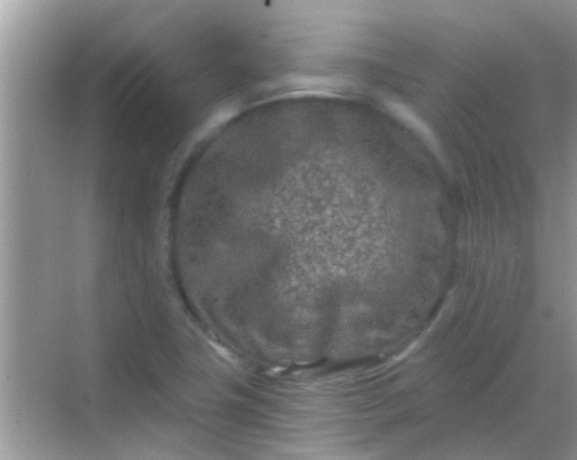 X0000068281411200605051830