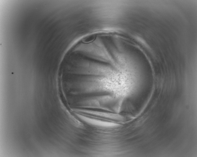 X0000068281412200605051830