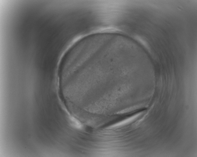 X0000068281414200605051830