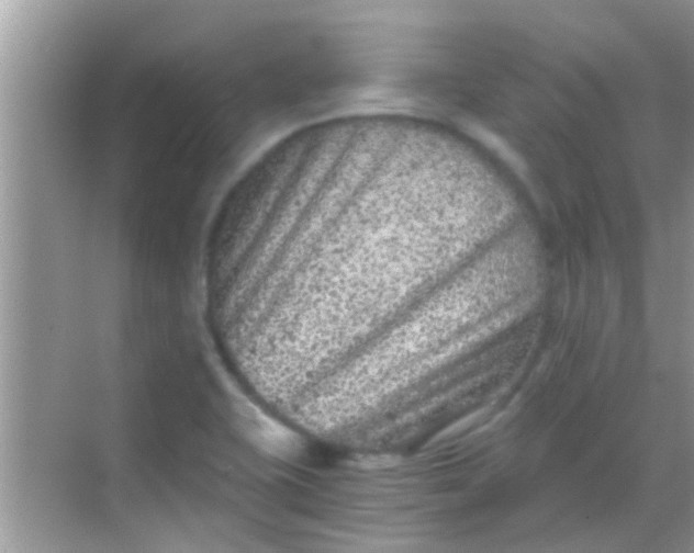 X0000068281415200605051830