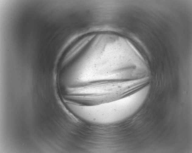 X0000068281416200605051830